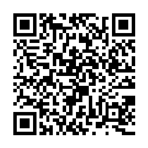 纳甲土尸不断的从地下伸出手将落在地面的符印收起二维码生成