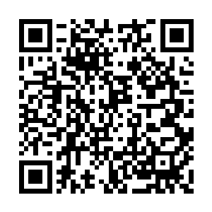 纳甲土尸伸出大拳头对着柳志山的鼻梁就是一拳二维码生成