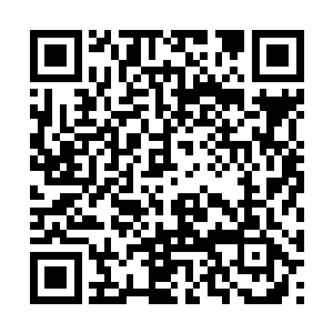 纳甲土尸几人出了客店来到城主府邸周围游逛夜市二维码生成