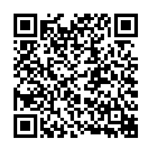 纳甲土尸洋洋得意地在老婆面前展示了五尖噬魂枪和五行玄变甲二维码生成