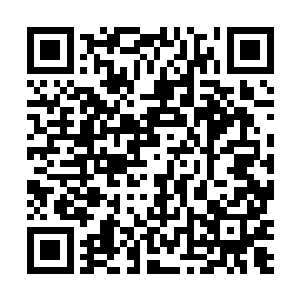 纳甲土尸看到了距离大于五十多米远的一位圆形的怪物二维码生成