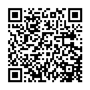 纳税也一分不少……我们现在已经是普吉岛上最大的靶场了二维码生成