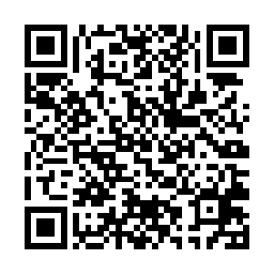 纳鲁之书感应到了龙族图书馆中有另外一页纳鲁之书二维码生成