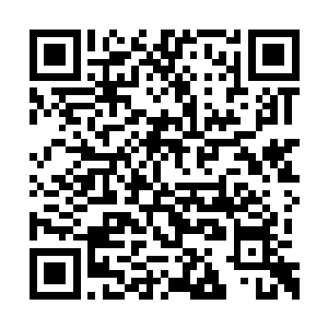 纳鲁之书的意识居然主动融入了马文的意识空间二维码生成