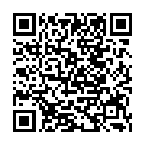 纵使是血河已经不复尘寰十万年岁月的今时今日二维码生成