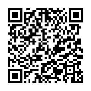 纵使龙傲天有通天彻地之能也不可能逃出少掌门的手心的二维码生成