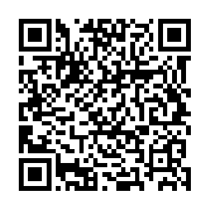 纵是凤羽珩还念着一些同是凤家女儿的情面不屑对她动手二维码生成