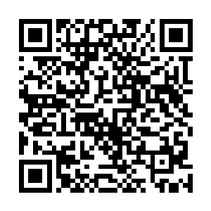 纵然如东方有梦与西门无生这等存活了十几万年的老狐狸二维码生成