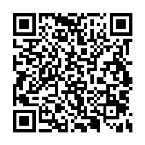 纵然如此也是狼狈的倒翻了几圈靠在一颗大树上二维码生成