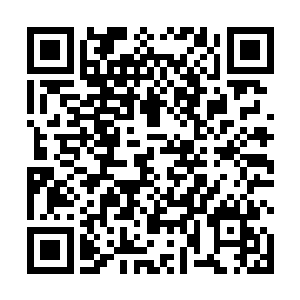 纵然是季渝的剑元比一般造化一重天剑王更精纯许多倍二维码生成
