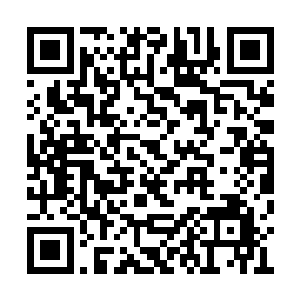 纵然有龙化之躯和七彩温神莲守护他的神魂不失二维码生成