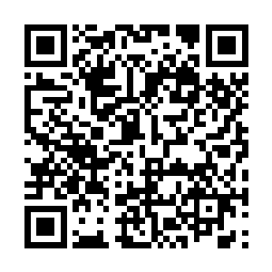 纵然熊奇圣有信心在两个月内修为突破至武道八重二维码生成