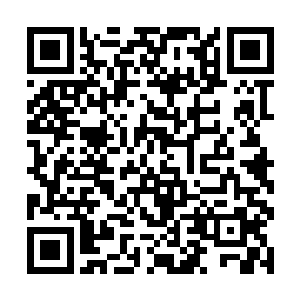 纵然经历了妖群千百道的攻击也依然只被掀开一小半二维码生成