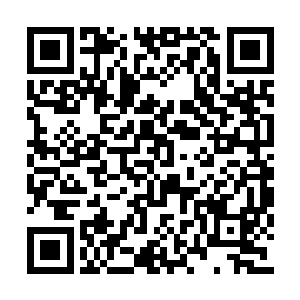 纵然自己连续下那么一百几十道圣旨阻止他回归二维码生成