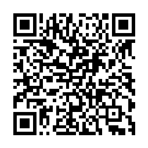 纷纷以各种借口不同程度的削减了这部影片的北美开画院线数二维码生成