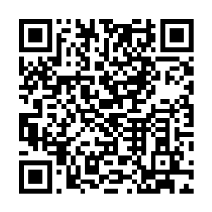 纷纷各是举着弓弩朝着司马师以及关家军的将士奋力乱射二维码生成