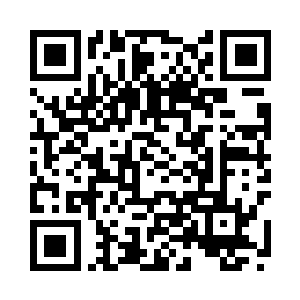 纷纷启动从宝箱当中的获得防护罩二维码生成