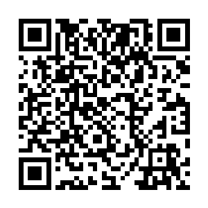 纷纷开始猜测究竟是哪个重要人物能让王世子亲自去接机二维码生成
