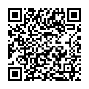 纷纷施展自己所能达到的最快速度分散向着远处逃去二维码生成