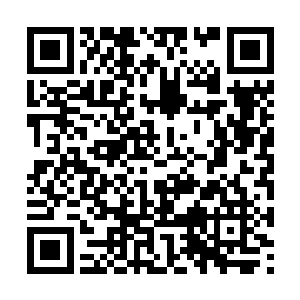 纷纷朝那符文图案之中灌入自己精纯而庞大的源力二维码生成