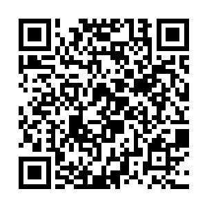 纷纷看着眼前这个好像事不关己一般轻松的白衣修士二维码生成