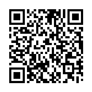 纷纷飞落在枝杈梢头静听着这优美的琴音二维码生成