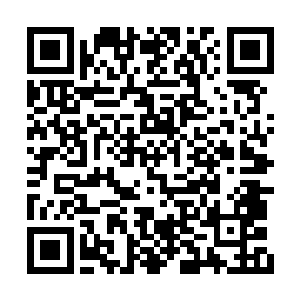 纷飞舞动在他们面前搭出了一栋漂亮的二层木屋二维码生成