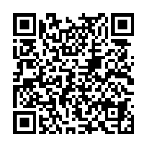 纸上写着林晓夕的名字和出生年月日还有出生医院二维码生成
