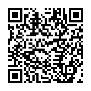 纸醉金迷之下 似乎有一张大网 正笼罩在佣兵之城的上空二维码生成