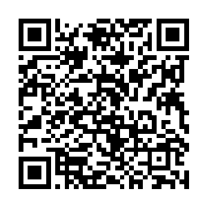 纽顿市一所小学里导致了二十八人丧生的恶性枪击案二维码生成