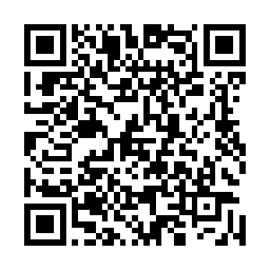 组委会答应让杜平武术表演团参加正规赛事之后的武术表演二维码生成