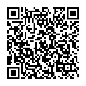 组建的赤锋剑神更是斩杀神族不少小主宰境强者乃至大主宰境强者二维码生成