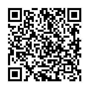组成一支规模不大不小的空骑兵差不多正好够数二维码生成