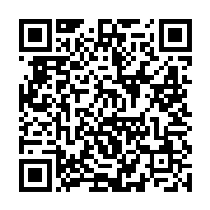 组成了一支汇聚了当前人类所有高端战力的浩荡大军二维码生成