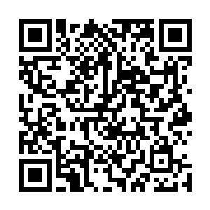 组成葬圣谷巨门的一头白骨巨龙眼窝中的黑色火焰猛地扩张二维码生成