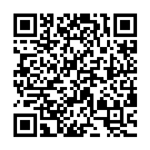 组织一个什么大西洋鱼类研究中心什么的非盈利机构二维码生成