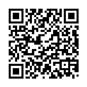 组织培养的人都是能够独当一面的二维码生成