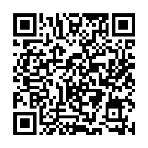 组织部长姚刚全部到水明快速通道明水关镇出口迎接二维码生成