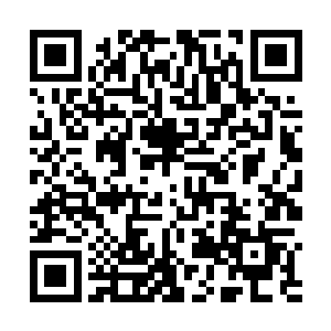 组织里最近肯定是莫名其妙的消失了那么几个重要人物二维码生成