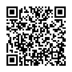 组织里的人就开始逼问墓穴中发生的一些的事情二维码生成