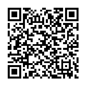 组织里面实力最弱的人都是ss级佣兵或者ss级通缉犯二维码生成
