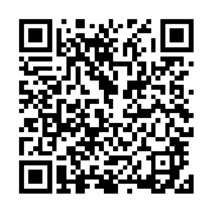 细心的人立即发现被弹出来的人中没有云起舞和南寻风两人二维码生成