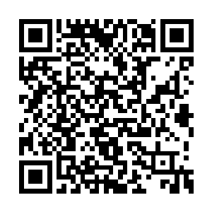 细细感受着雪茄带来的芬香……心里面大呼过瘾二维码生成