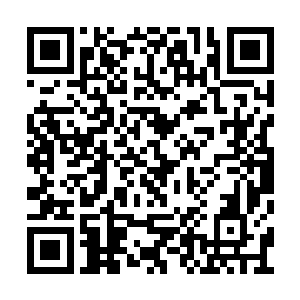 细细查探体会中的苗毅发现指尖有开始腐烂迹象二维码生成