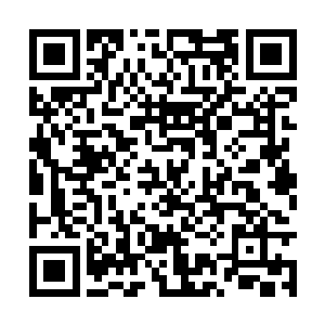 细细的品味被猫舌头上的小刺带回来的浓郁草莓味二维码生成