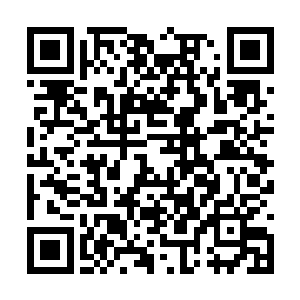 织斑千冬却毫不客气的打断了筱之之束的疯言疯语二维码生成