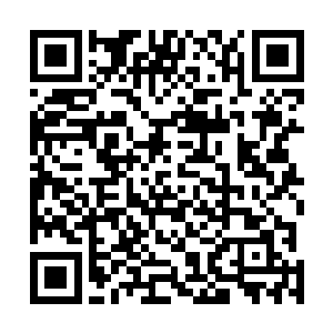 终于不再希冀着凭借价值连城的宝甲和金刚体魄单纯硬抗二维码生成