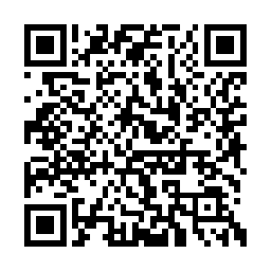 终于以本身更高一筹的实力和人气杀出三国乱阵二维码生成