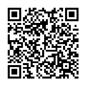 终于出现了一对让我们感到有些兴趣的小家伙了二维码生成