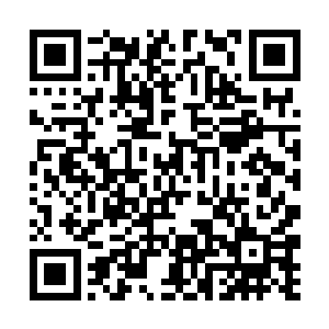 终于出现在了一座高达数千丈的巨大水下火山群之前二维码生成